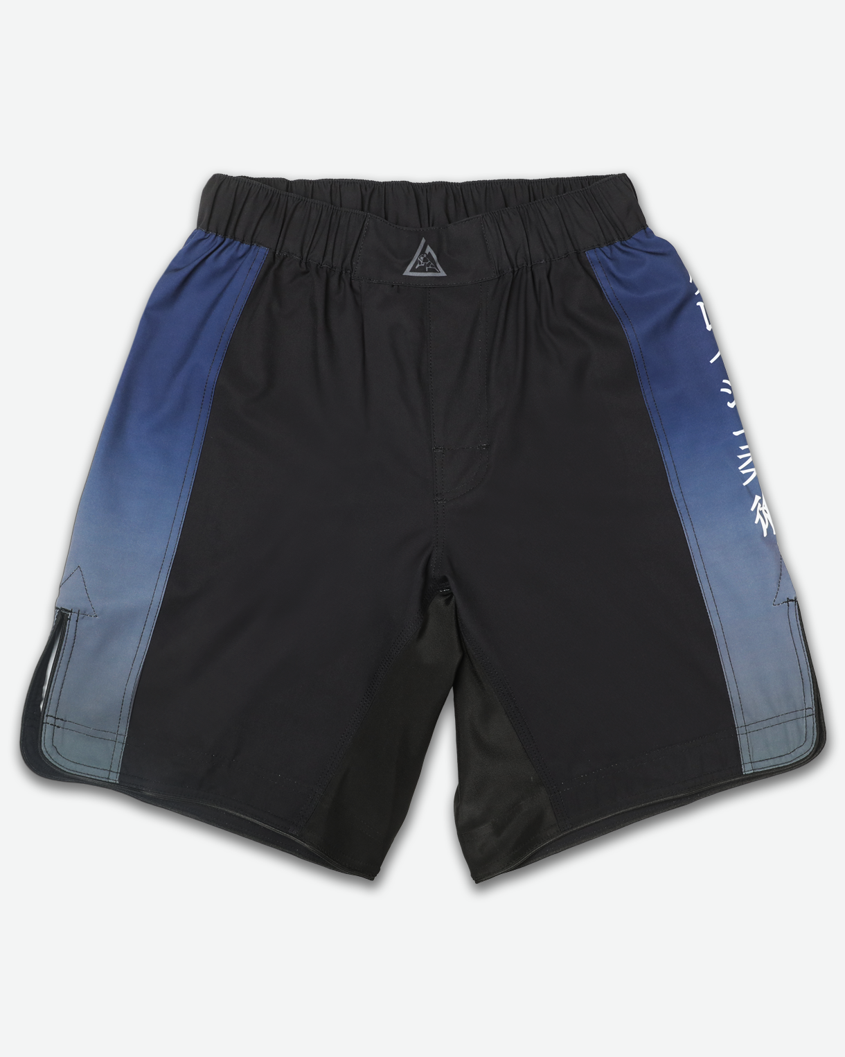 Midnight Wave Fight Shorts (Men)